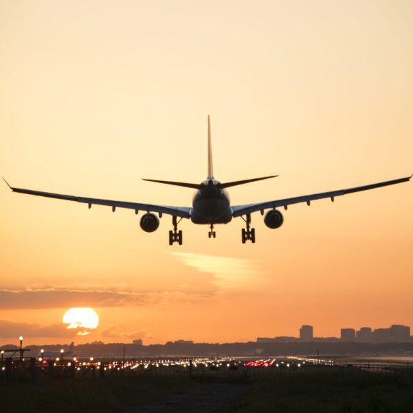 Fly
